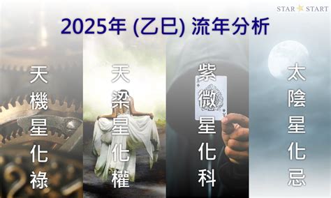 運勢分析|2025流年運勢 ️紫微斗數流年命盤分析